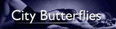 City Butterflies