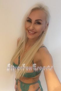 Gloucester Road escort Lavinia