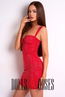 Outcall only escort Polina
