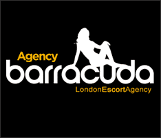 Agency Barracuda