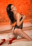 Brazilian 34C bust size companion