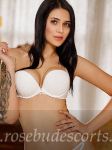 Stacie elegant caucasian escort in knightsbridge, highly recommended