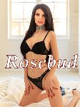 breathtaking European striptease companion in Bayswater