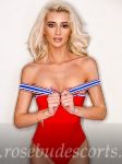 caucasian European companion in Bayswater, 150 per hour
