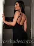 stunning European cheap escort in Earls Court