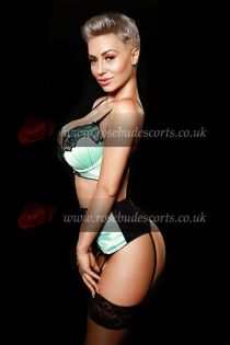 Sharon escort - 36D bust, blonde hair, brown eyes