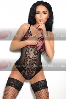 Ruth escort - Rosebud London Escorts