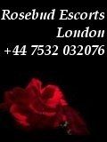 Escort jobs at Rosebud London Escorts