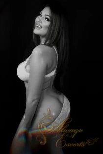 European escort Aris