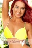 Brie latvian elegant companion, 34B