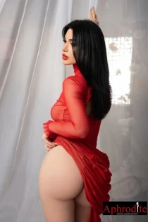 Santana 350 per hour